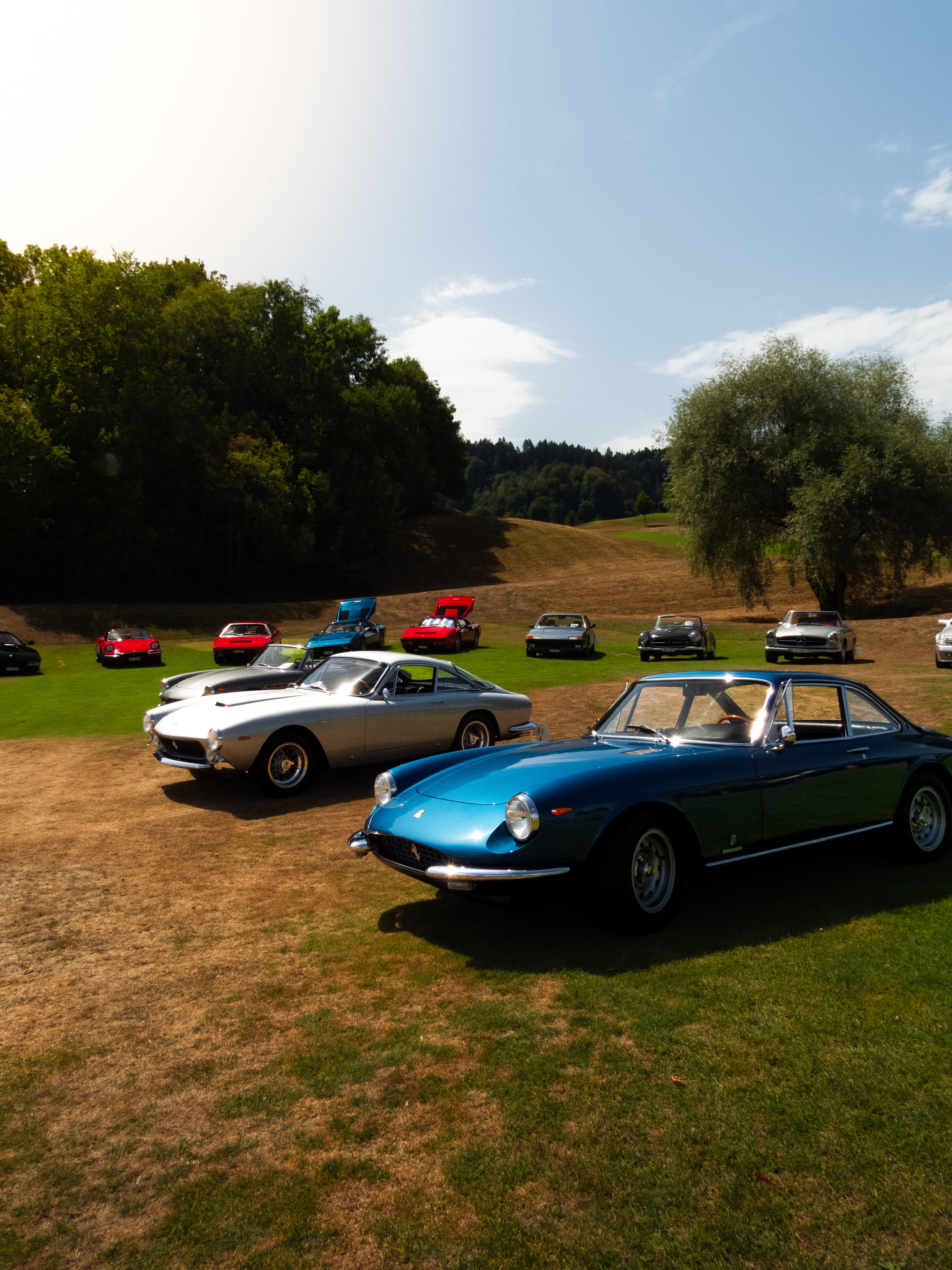 Ferrari und Golf